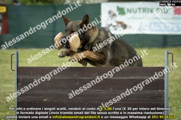 IMG_0840.jpg
