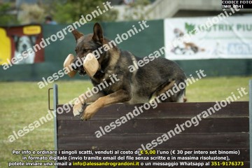 IMG_0841.jpg