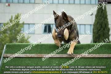 IMG_0848.jpg