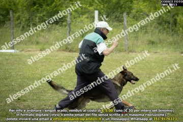 IMG_0853.jpg