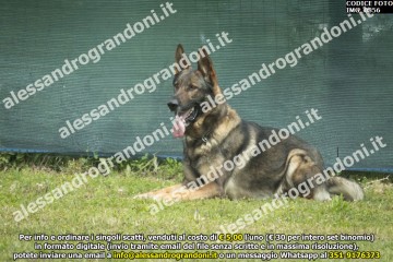 IMG_0856.jpg