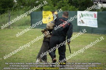IMG_1143.jpg
