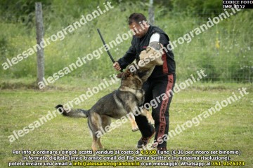 IMG_1152.jpg