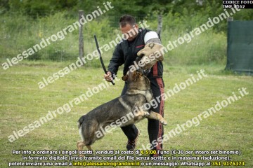 IMG_1162.jpg