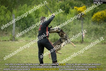 IMG_1168.jpg