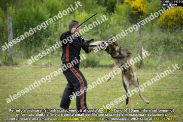 IMG_1169.jpg