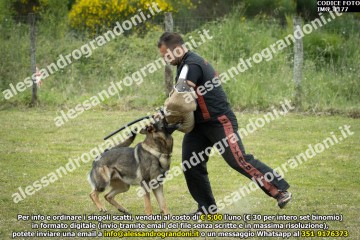 IMG_1177.jpg