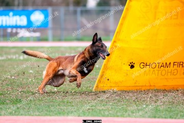 L_IMG_0048.jpg