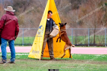 L_IMG_0050.jpg