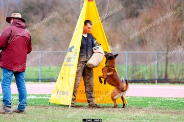 L_IMG_0051.jpg
