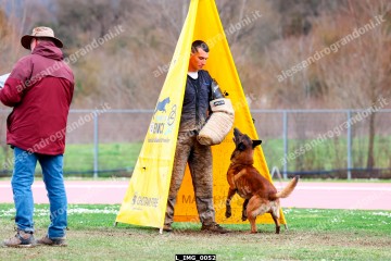 L_IMG_0052.jpg