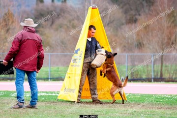 L_IMG_0053.jpg