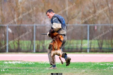 L_IMG_0054.jpg