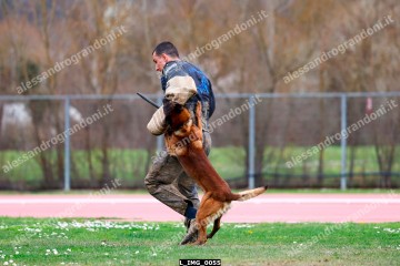 L_IMG_0055.jpg