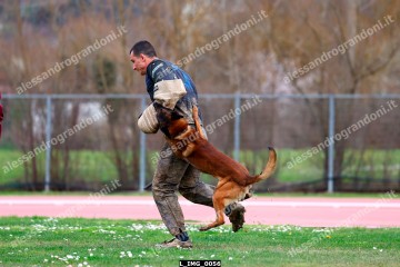 L_IMG_0056.jpg