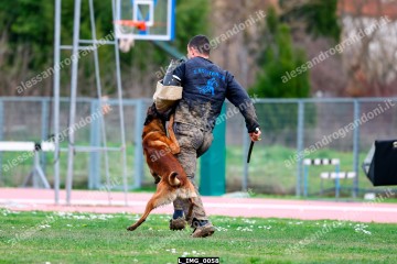 L_IMG_0058.jpg