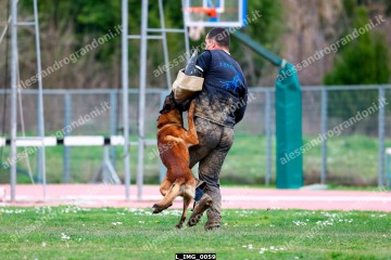 L_IMG_0059.jpg