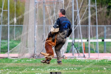 L_IMG_0060.jpg