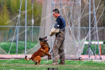 L_IMG_0061.jpg