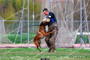 L_IMG_0062.jpg