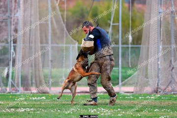 L_IMG_0063.jpg
