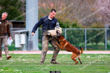 L_IMG_0067.jpg