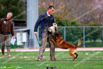 L_IMG_0068.jpg