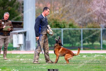 L_IMG_0070.jpg