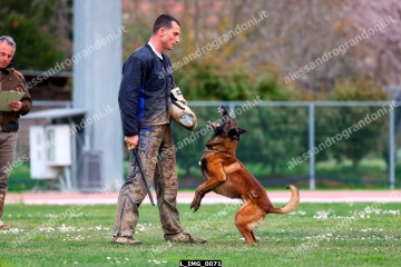 L_IMG_0071.jpg
