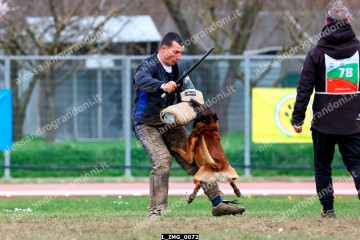 L_IMG_0072.jpg