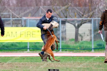 L_IMG_0077.jpg