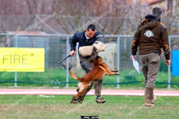 L_IMG_0078.jpg