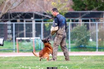 L_IMG_0081.jpg