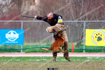 L_IMG_0085.jpg