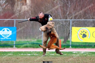 L_IMG_0086.jpg