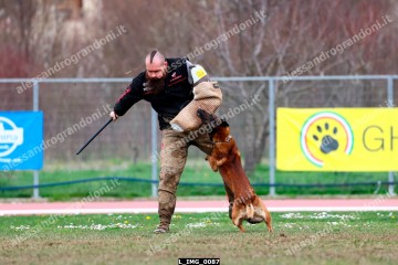 L_IMG_0087.jpg