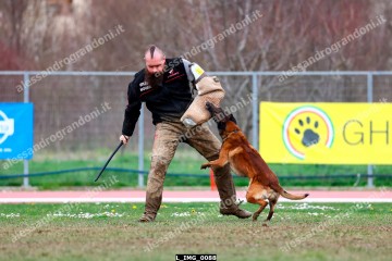 L_IMG_0088.jpg