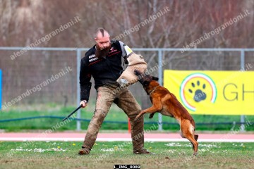 L_IMG_0089.jpg