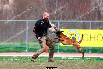 L_IMG_0090.jpg