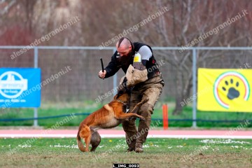 L_IMG_0093.jpg