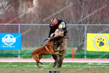 L_IMG_0095.jpg