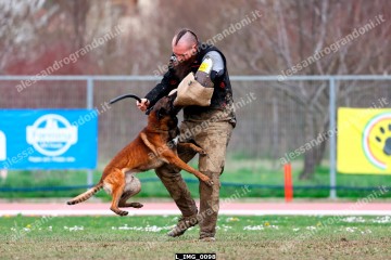 L_IMG_0098.jpg