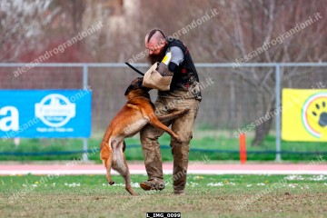 L_IMG_0099.jpg