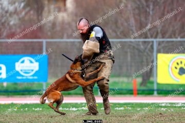 L_IMG_0101.jpg