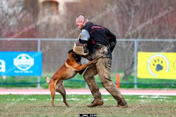 L_IMG_0106.jpg