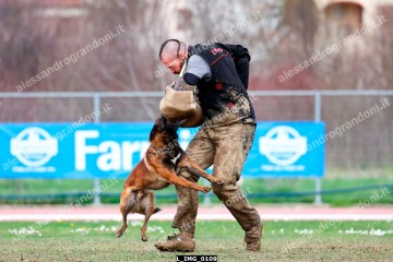 L_IMG_0109.jpg