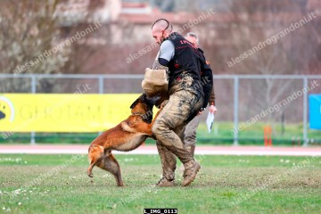 L_IMG_0113.jpg