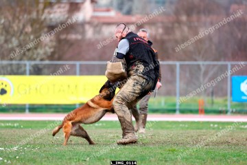 L_IMG_0114.jpg