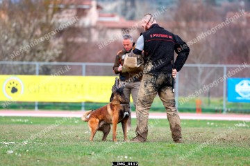 L_IMG_0117.jpg
