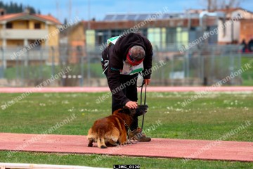 L_IMG_0120.jpg